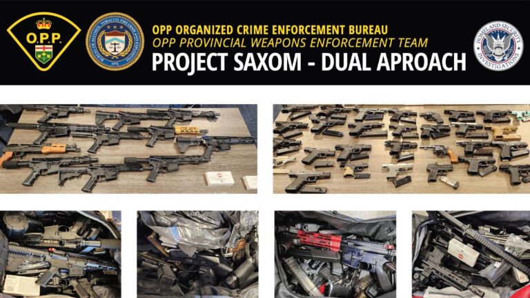opp-project-saxom-dualapproach