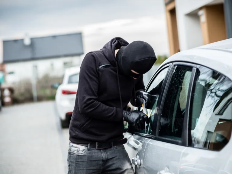 vehicletheft